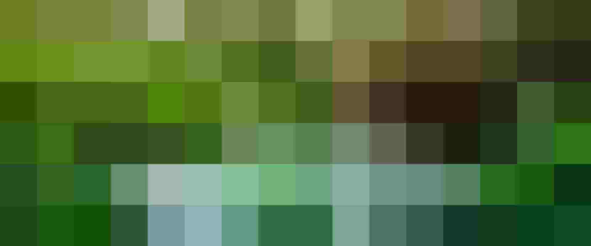 Hand zeichnet Diagramm mit grünen Blättern und Symbolen für nachhaltige Energie und Photovoltaik