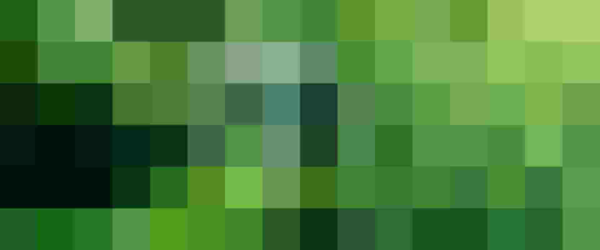 Glaskugel mit Weltkarte auf grünem Moos